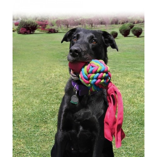 Kong Wubba Weaves Sesli Köpek Oyuncağı L 34cm