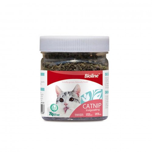 Bioline Catnip Kedi Otu 20 Gr