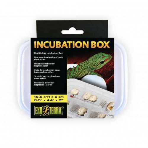 Exo Terra Incubation Box