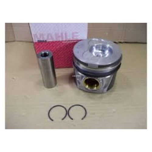 PISTON SEGMAN 81.01 MM ( 0.50) T5 LT 46 2.5 TDI-ACV-AHD-ANJ-AUF (3/4/5 C